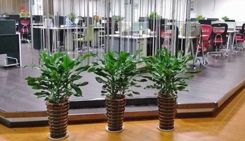 如何选购优质的绿化工程服务？一份简易指南